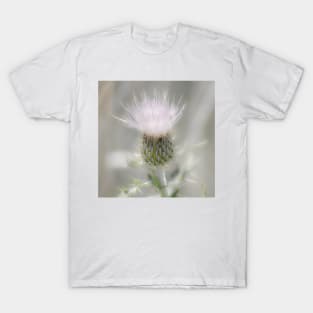 Glimmering Thistle T-Shirt